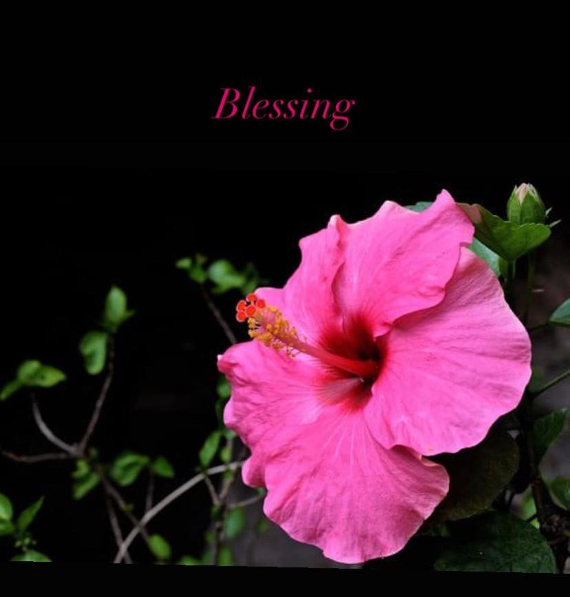דירות נאפולי Blessing House מראה חיצוני תמונה
